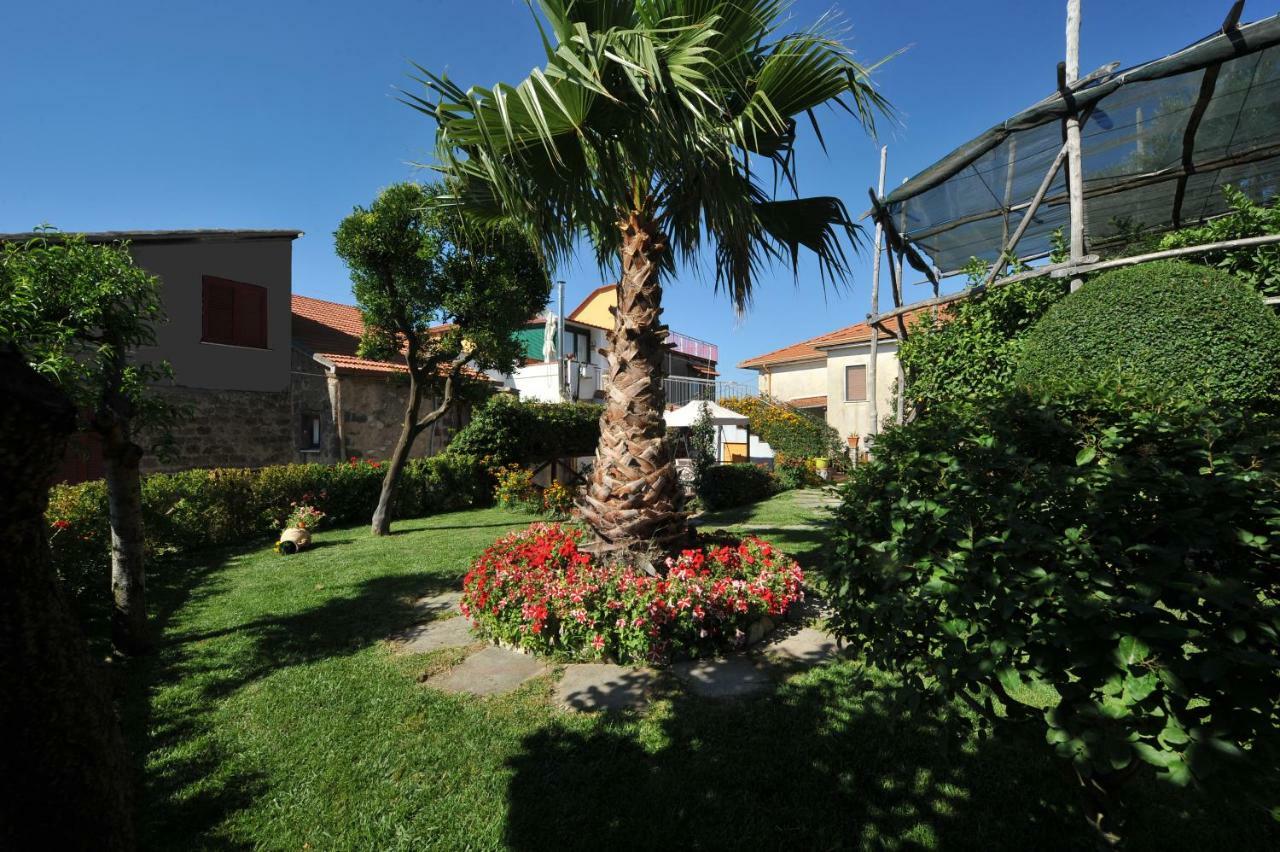 Casa Vacanze Chery Sorrento Exterior foto